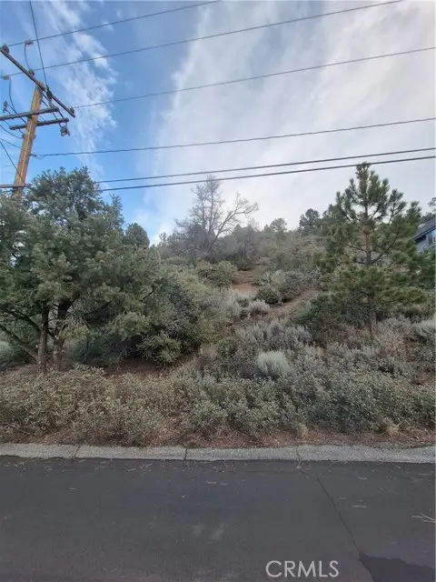 2016 Woodland Drive, Pine Mountain Club, CA 93222 - #1