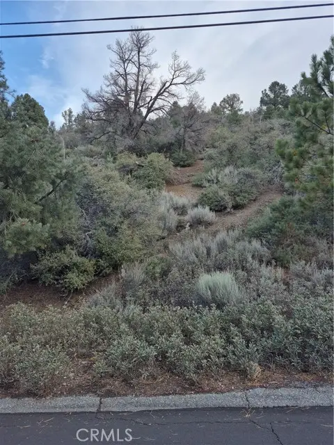 2016 Woodland Drive, Pine Mountain Club, CA 93222 - #2