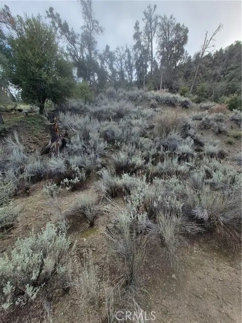 15532 San Moritz, Pine Mountain Club, CA 93222 - #1