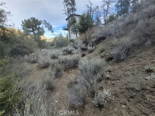 15532 San Moritz, Pine Mountain Club, CA 93222 - #2