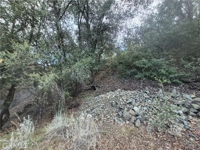 15532 San Moritz, Pine Mountain Club, CA 93222 - #3