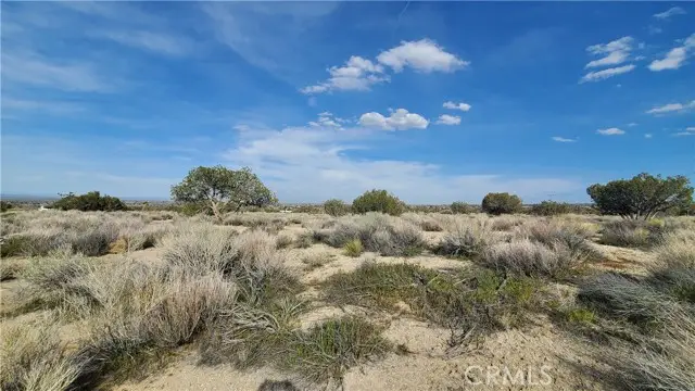 0 Antelope Hwy (138) & West Street, Llano, CA 93544 - Image #1