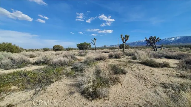 0 Antelope Hwy (138) & West Street, Llano, CA 93544 - Image #3