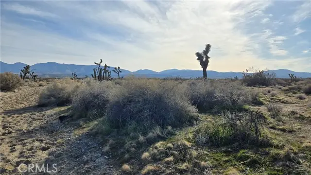 0 115th St East S/o Ave S, South Antelope Valley, CA 93543 - #1