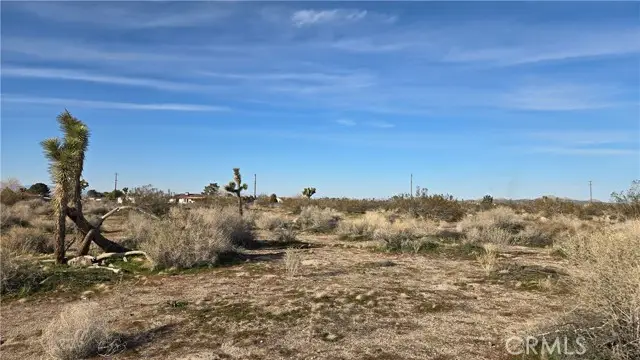 0 115th St East S/o Ave S, South Antelope Valley, CA 93543 - #3