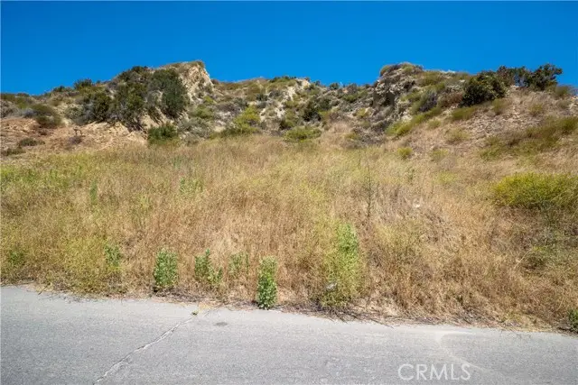0 Ca Los Angeles County Val Verde, Santa Clarita, CA 91384 - #2
