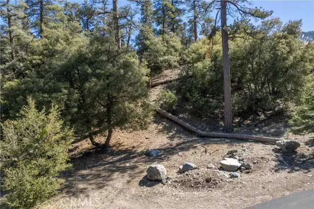 1300 Banff Drive, Pine Mountain Club, CA 93222 - #3