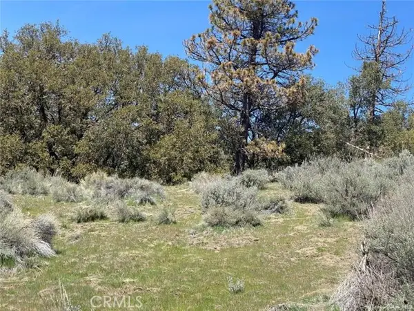 25301 Paramount, Tehachapi, CA 93561