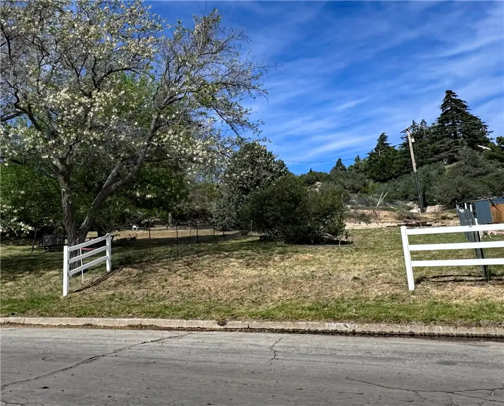 0 Ranch Club Rd & Kiptree Dr, Elizabeth Lake, CA 93532 - #1