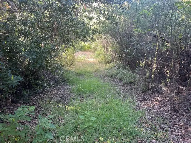 1455 Barrymore, Malibu, CA 90265 - #2