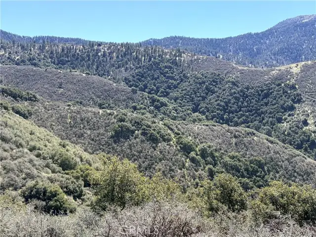 23320 Constance, Tehachapi, CA 93561 - #3