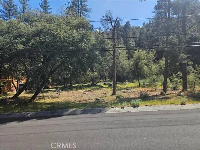 15716 Mil Potrero Highway, Pine Mountain Club, CA 93222 - #1