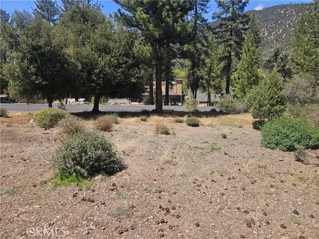 16210 Askin Drive, Pine Mountain Club, CA 93222 - #2
