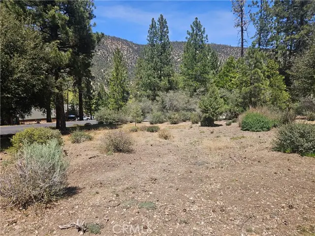 16210 Askin Drive, Pine Mountain Club, CA 93222 - #3