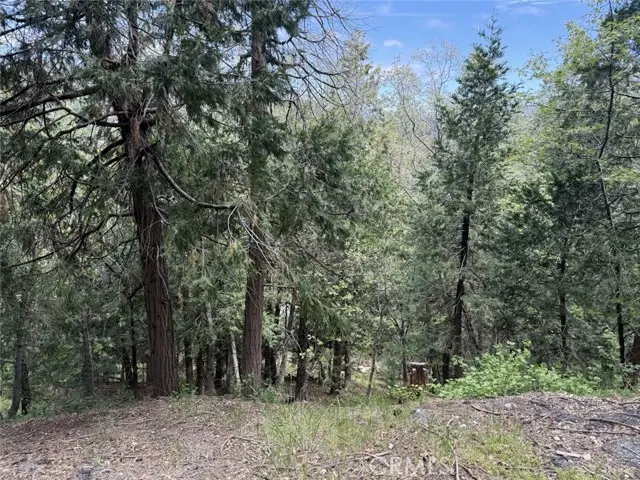 0 Alpine Court, Crestline, CA 92325 - #1