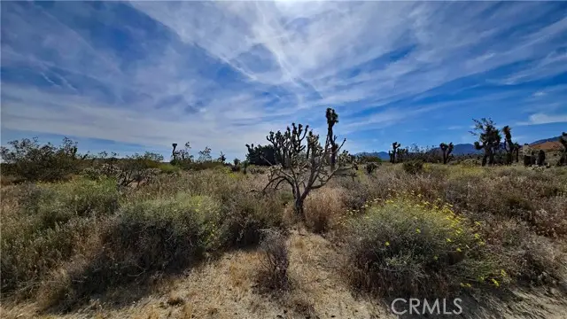 0 103rd St East Vicinity W14, South Antelope Valley, CA 93543 - #2