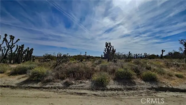 0 103rd St East Vicinity W14, South Antelope Valley, CA 93543 - #3