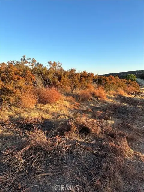 50 Sable Drive, Hemet, CA 92544 - Image #1