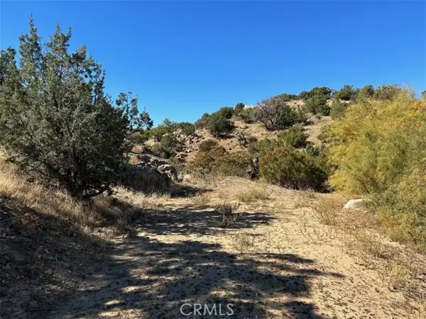 33 Broken Wheel, Anza, CA 92539