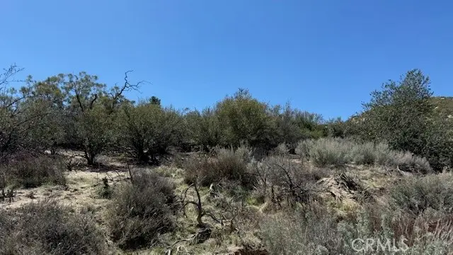 0 Bogota Rd, Anza, CA 92539 - Image #2