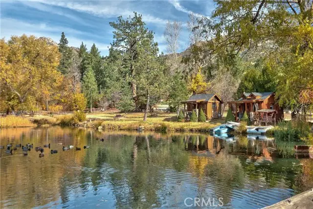58111 Bonita Vista Road, Mountain Center, CA 92561 - Image #3