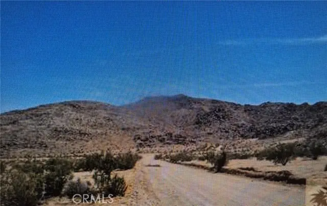 0 Lot 13 Benji Ave Avenue, Joshua Tree, CA 92252 - #1