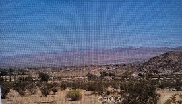 0 Lot 13 Benji Ave Avenue, Joshua Tree, CA 92252 - #2