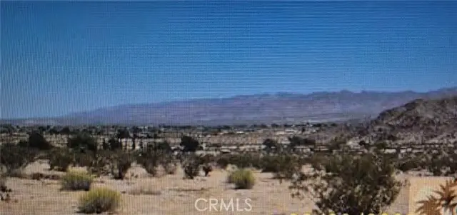 0 Lot 13 Benji Ave Avenue, Joshua Tree, CA 92252 - #3