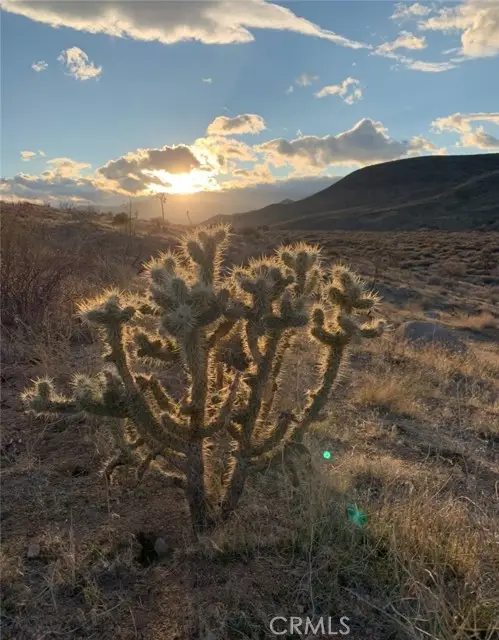 0 E Drive, Pioneertown, CA 92268