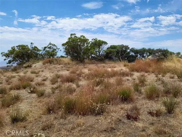 1007 Roan Way, Aguanga, CA 92536 - Image #3