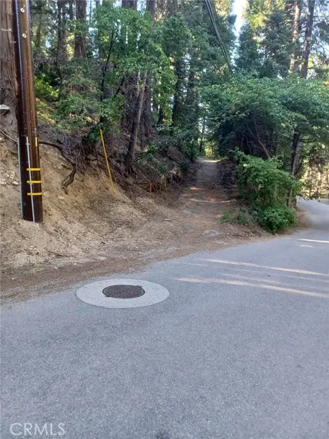0 Community Drive, Lake Arrowhead, CA 92352 - #2
