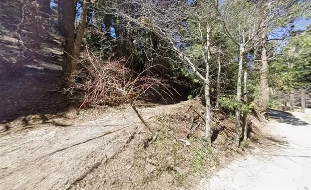 0 Community Drive, Lake Arrowhead, CA 92352 - #3