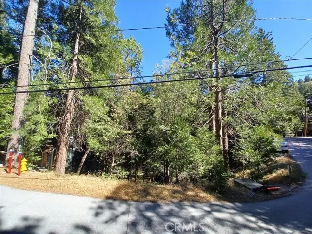 0 Club House Drive, Twin Peaks, CA 92391 - #2