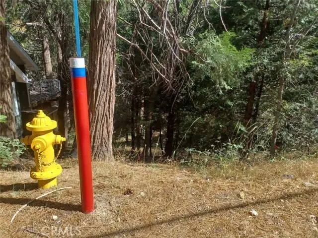 0 Club House Drive, Twin Peaks, CA 92391 - #3