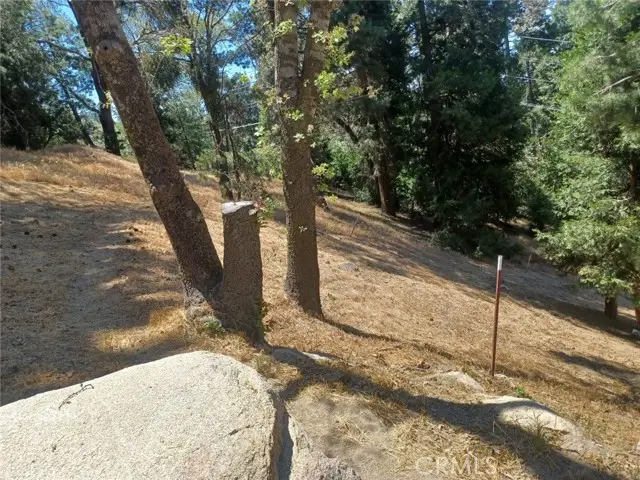 0 Pine Trail, Twin Peaks, CA 92391 - #1