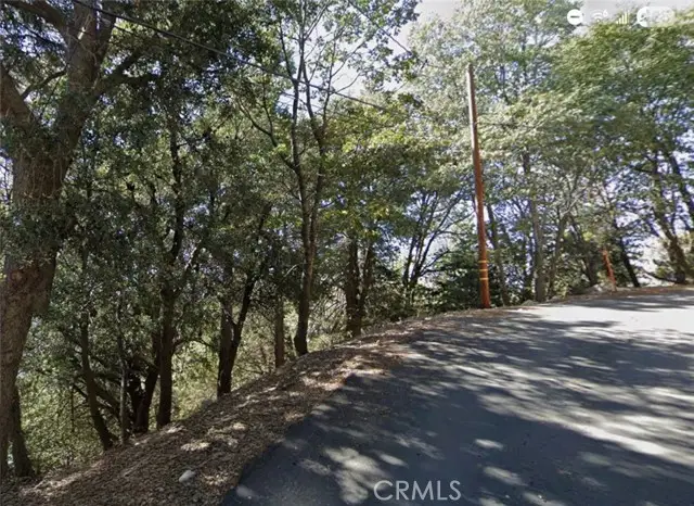 0 Lo Lane, Twin Peaks, CA 92391 - #2