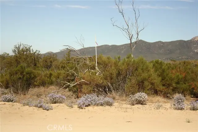 0 Howard Road, Anza, CA 92539 - Image #3