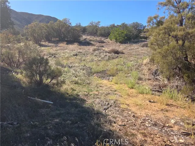 0 Taron Trail, Anza, CA 92539 - #2