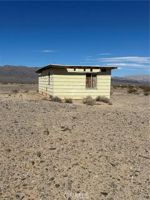 1 Screech Owl, Twentynine Palms, CA 92277