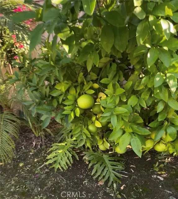 3230 E Drycreek, West Covina, CA 91791 - Image #1