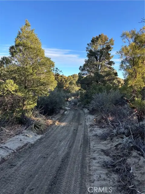 0 Upper Valley Road, Anza, CA 92539 - #3