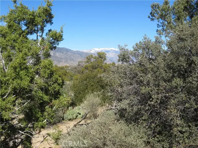 155 Lot #155 Buckthorn, Mountain Center, CA 92561 - Image #1