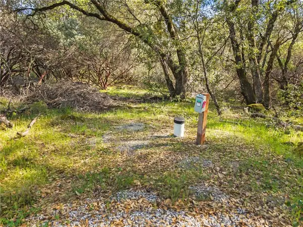 1371 Moccasin Trail, Placerville, CA 95667