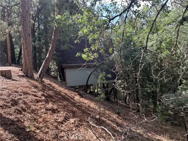 0 Tulip Lane, Running Springs, CA 92314 - Image #3