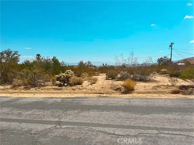 6753 Galleta Avenue, Twentynine Palms, CA 92277 - #3