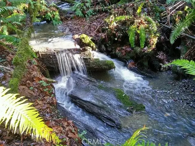 203 Pine Lane, Carlotta, CA 95528 - Image #3