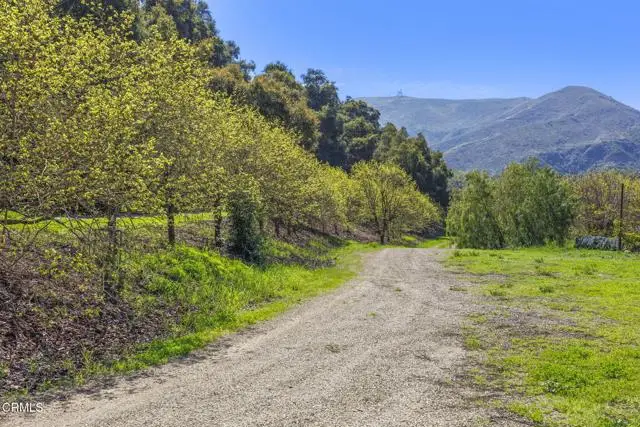 4620 Casitas Pass Road, San Buenaventura Ventura, CA 93001 - Image #3