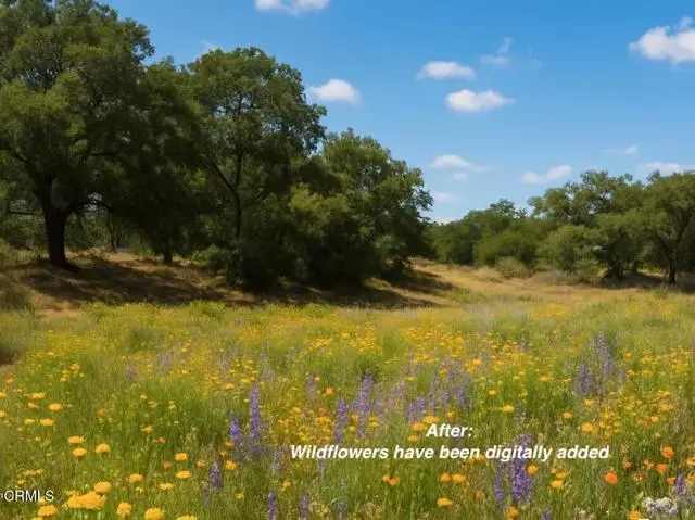 0 Burnham Road, Ojai, CA 93023 - Image #1