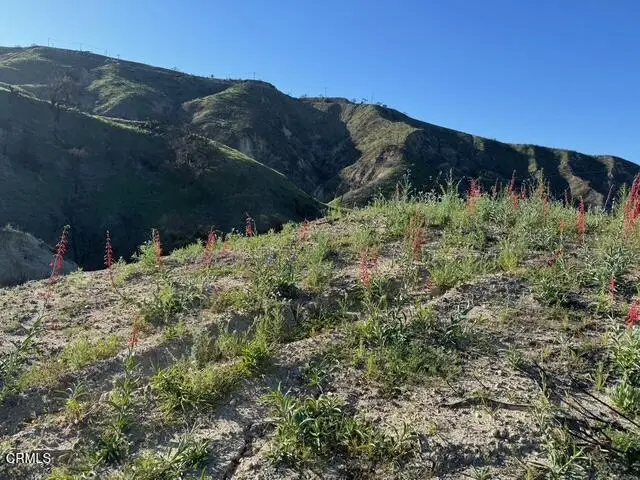 31029 Hasley Canyon Road, Castaic, CA 91384 - #2