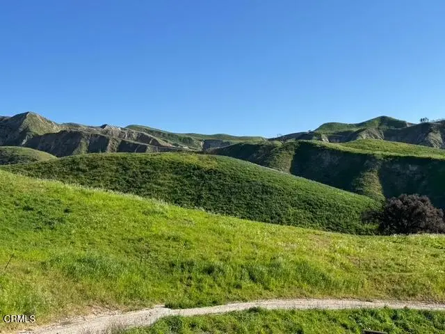 31029 Hasley Canyon Road, Castaic, CA 91384 - #3